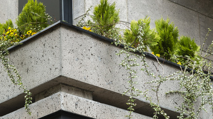 چرا سنگ طبیعی ؟